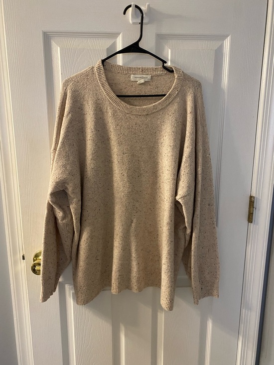 Treasure & Bond Sweaters - Treasure & Bond Neutral Speckled Beige Crewneck Sweater
